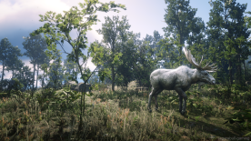 Red-Dead-Redemption-2-Screenshot-2020.02.04-21.09.03.11