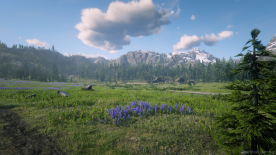 Red-Dead-Redemption-2-Screenshot-2020.03.05-17.39.03.53