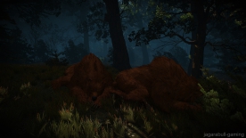 The Witcher 3