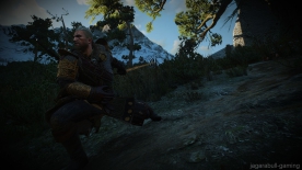 The-Witcher-3-Screenshot-2017.11.25-23.42.18.79