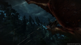 The-Witcher-3-Screenshot-2017.11.26-22.43.08.33