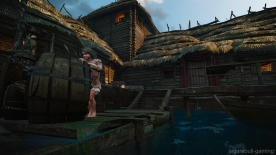 The-Witcher-3-Screenshot-2017.11.29-21.31.19.09