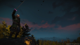 The Witcher 3