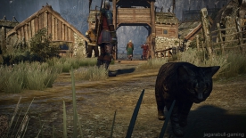 The Witcher 3