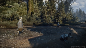 The Witcher 3