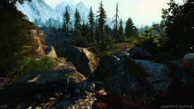 The Witcher 3