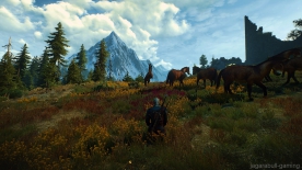 The Witcher 3
