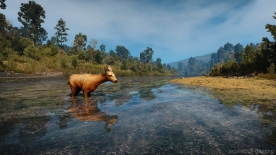 The Witcher 3