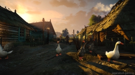 The Witcher 3