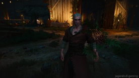 The Witcher 3