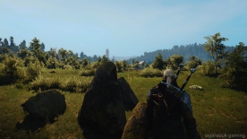 The Witcher 3