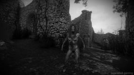 The-Witcher-3-Screenshot-2018.01.20-23.41.55.92