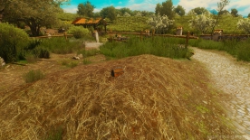 The-Witcher-3-Screenshot-2018.05.27-13.13.31.83