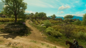 The Witcher 3