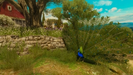 The Witcher 3