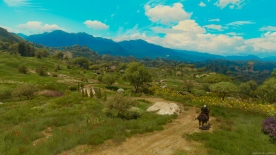 The Witcher 3
