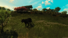 The Witcher 3