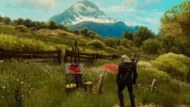 The Witcher 3