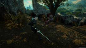 The Witcher 3