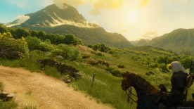 The Witcher 3