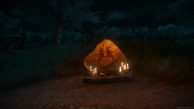 The Witcher 3