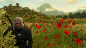 The Witcher 3