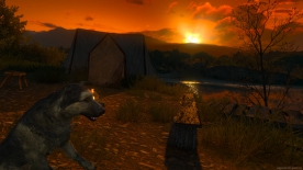 The Witcher 3