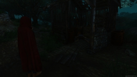 The Witcher 3