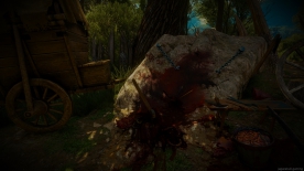 The Witcher 3