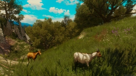 The Witcher 3