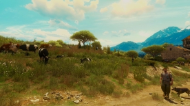 The Witcher 3
