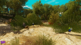 The Witcher 3