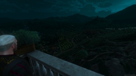 The Witcher 3