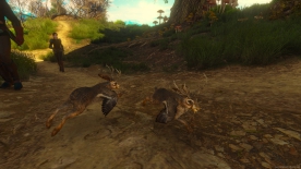 The Witcher 3